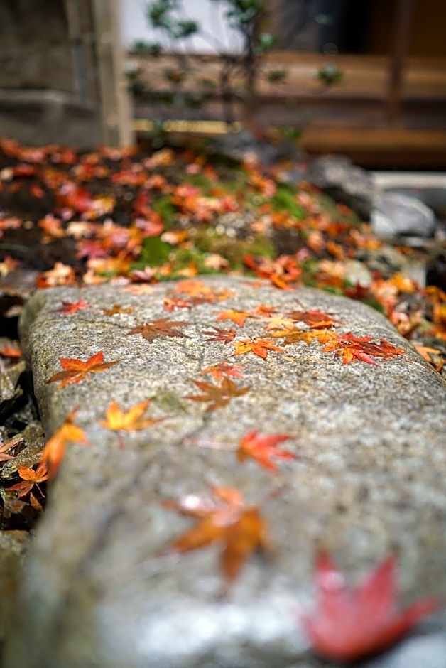 Ryokan Tori
