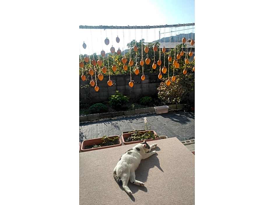 Guesthouse Farmor