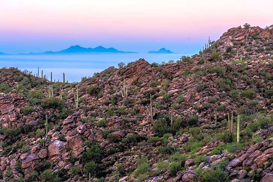 The Ritz-Carlton Dove Mountain