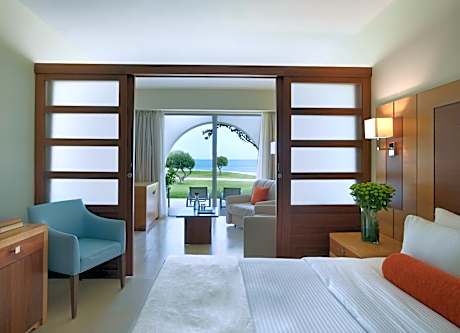 Superior Double Room with Pool View