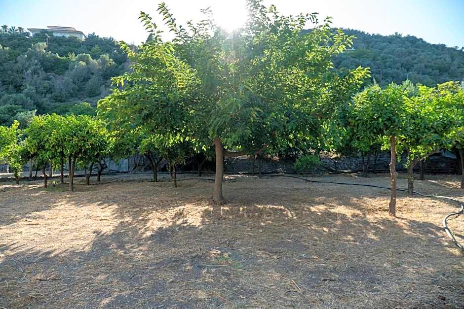 Davis Studios & Apartments