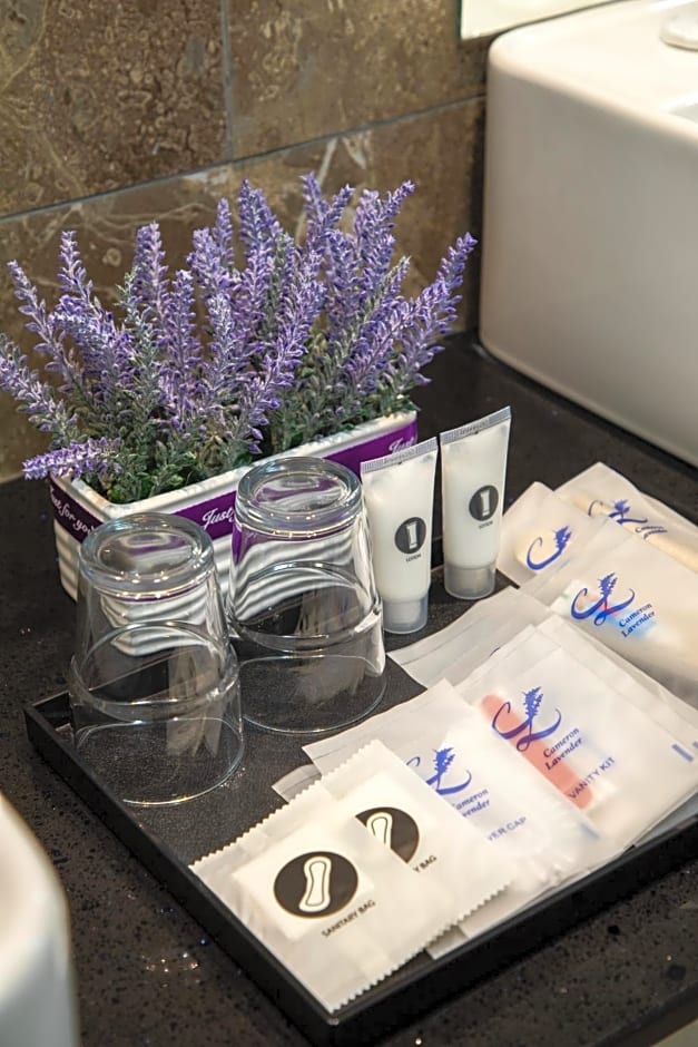 Cameron Lavender Mansion by PLAY