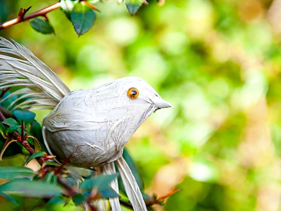 Gościniec Ptasi Zaułek