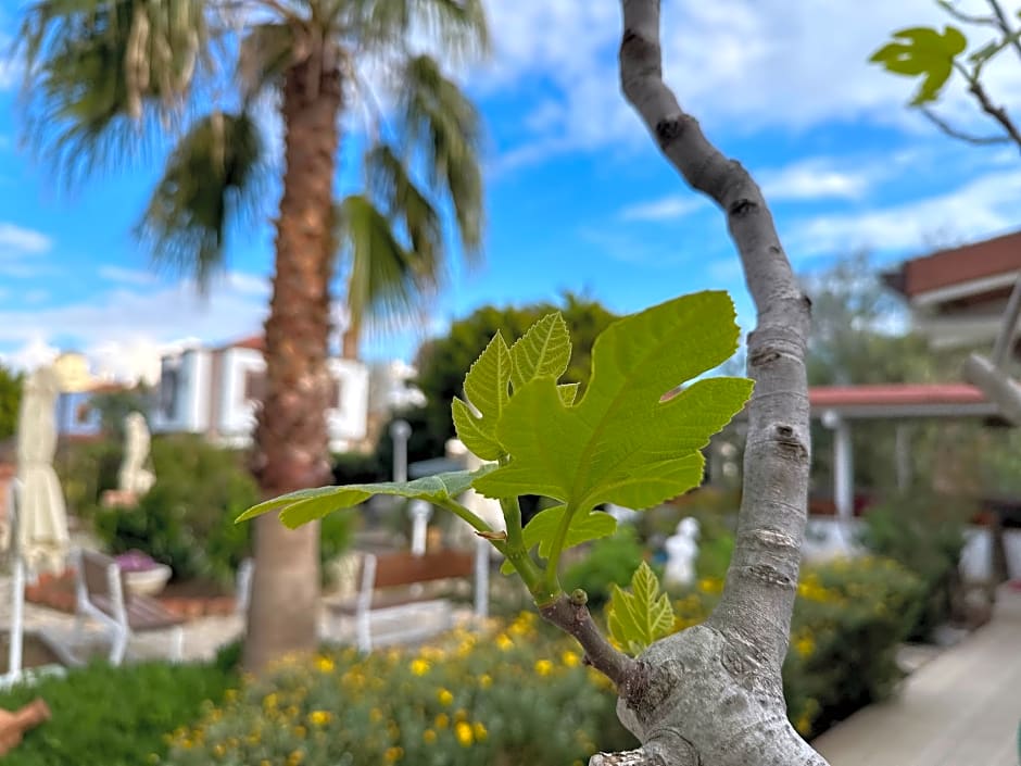 Cunda Alibeyhan Otel