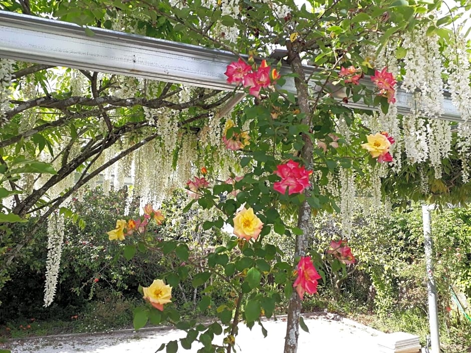 Quinta D'Avó Amélia