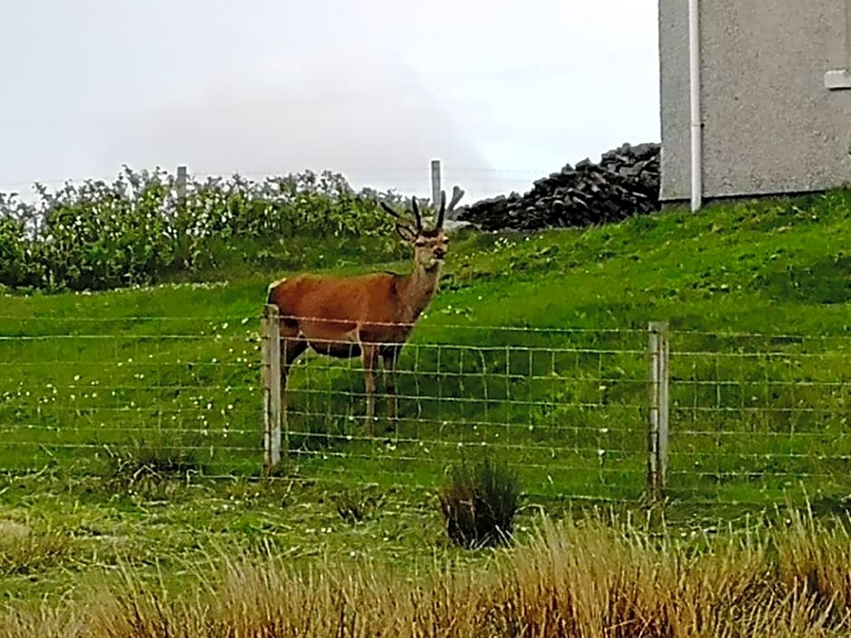 The Fisherman's Snug self catering North Uist