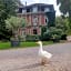 Château Lambert Moulinsart Hotel, shuttle airport, long term parking, snooker, large terrasse, dinner, breakfast
