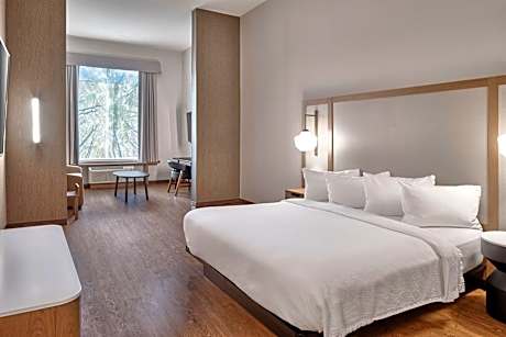 Suite, 1 King, Sofa bed