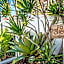 Mantra Legends Hotel