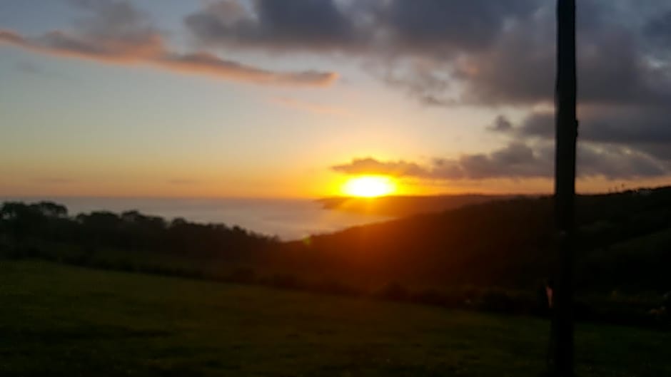 The Wild Farm Backpackers