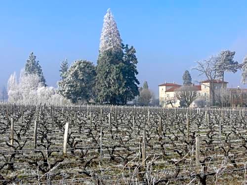 Château de Grandmont Chambres d'hôtes