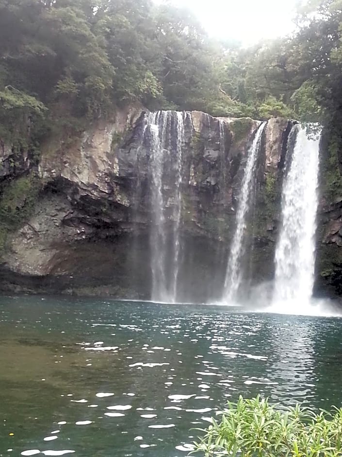 Dreaming Forest Pension