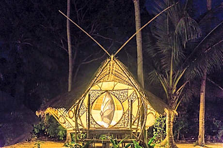 The Hive Huts