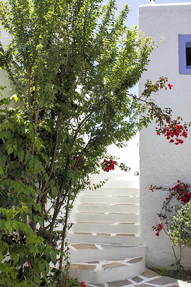 Naxos Holidays