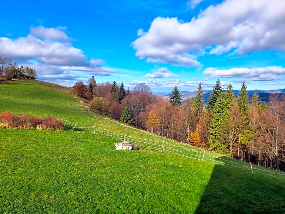 Swoboda na szczycie góry
