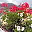 B&B La DORMERIA