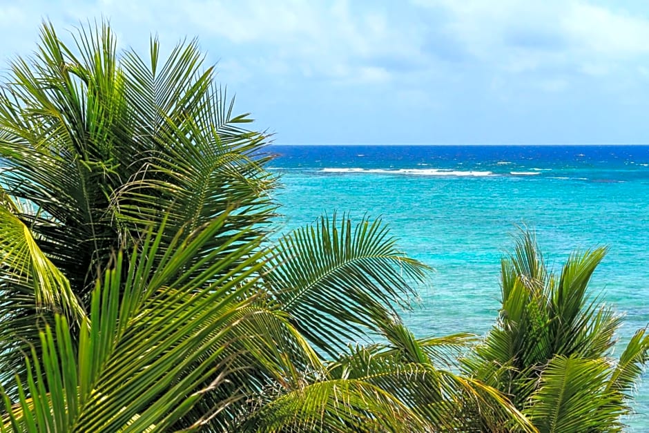 Cielo Maya Beach Tulum