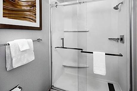 Suite, 1 Bedroom (1 King Bed and 1 Double Sofa Bed)