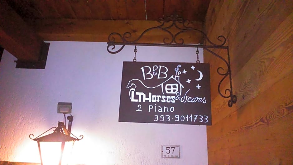 LTHorses & Dreams