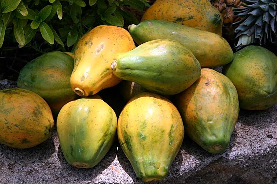 White Sands Negril Hotel