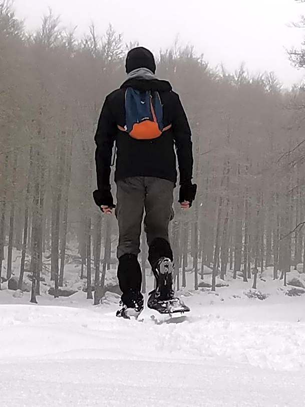 Thalassa Locanda B&B e appartamento