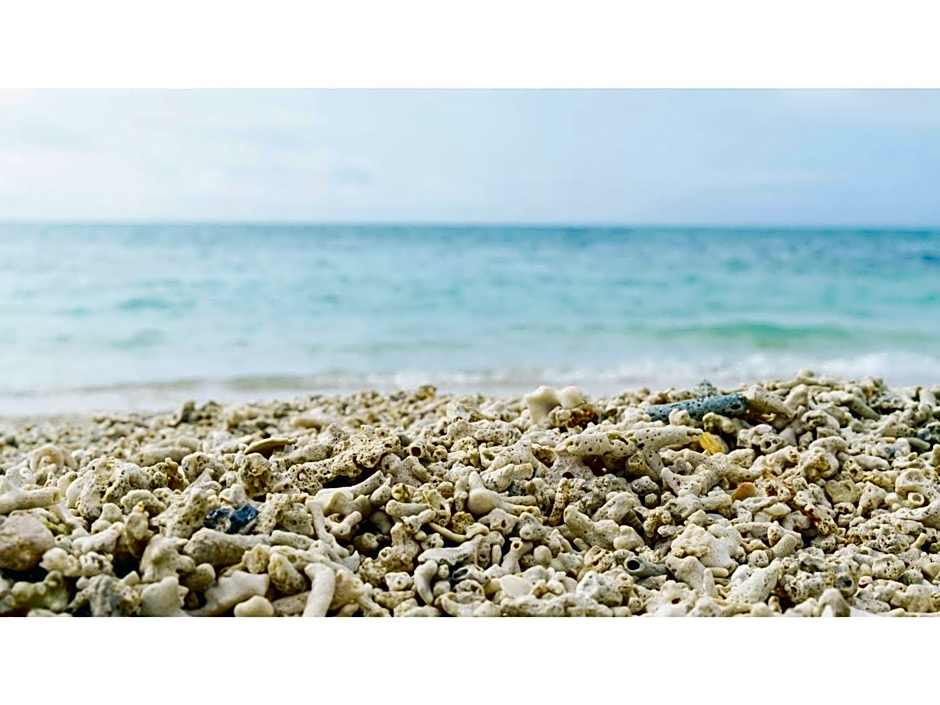 Bears Stay Kumejima Eef Beach - Vacation STAY 85672v