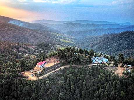 Burans Kot Jageshwar