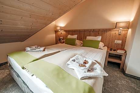 Double Room without Balcony