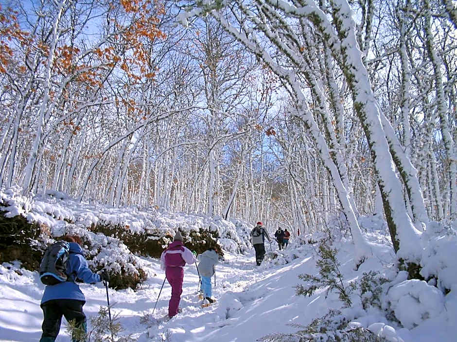 Hotel Rural Aguallevada