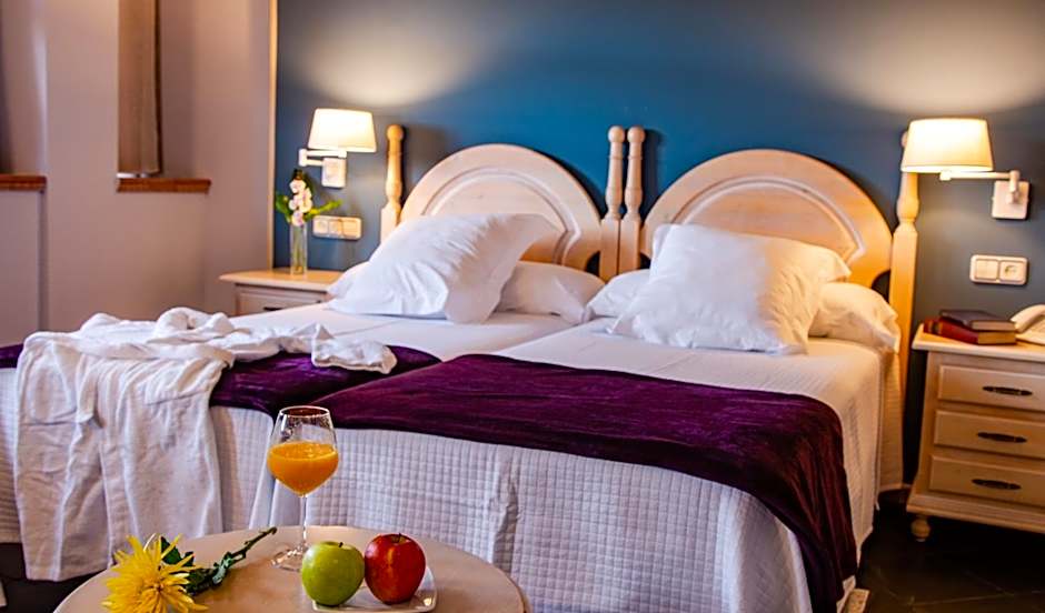 Hotel Palacio De La Viñona