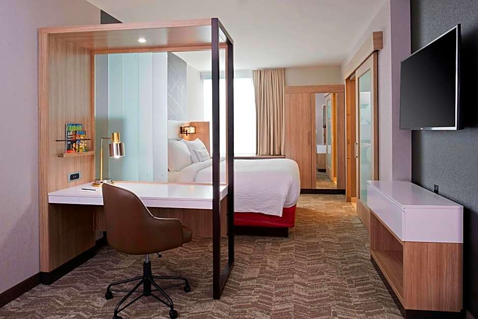 SpringHill Suites by Marriott East Lansing University Area