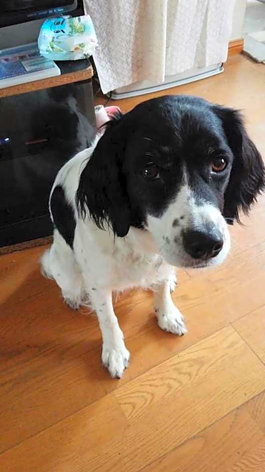 Kakunodate Guesthouse Fuga