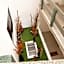 Hotel Rossel Plaza