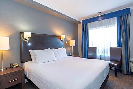 Standard Suite, 1 King Bed, Kitchen, Washer Dryer