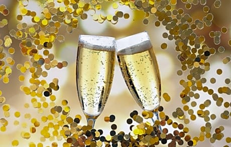 Standard Double Room with New Year's Package