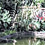 Royal Olympia Lodge
