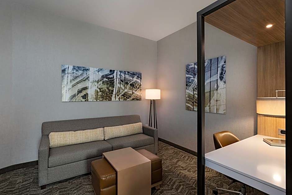 SpringHill Suites by Marriott Waco