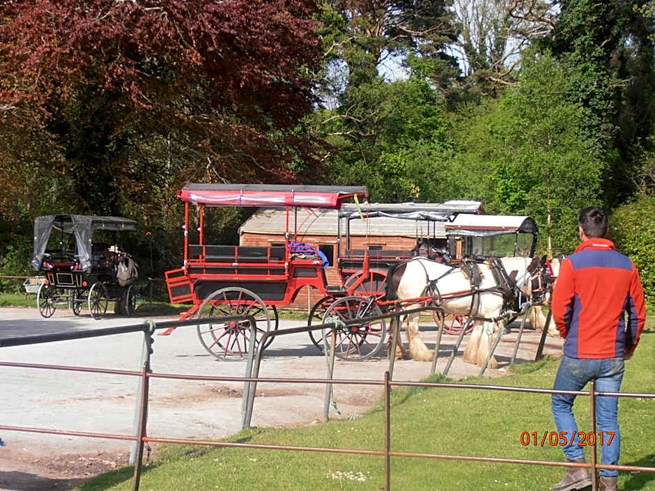 Larkfield House B&B, Ballycasheen Kerry V93 WD51