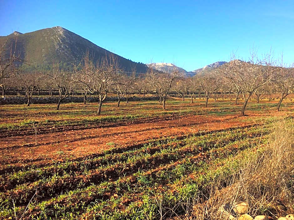 Buena Idea - Adults Only