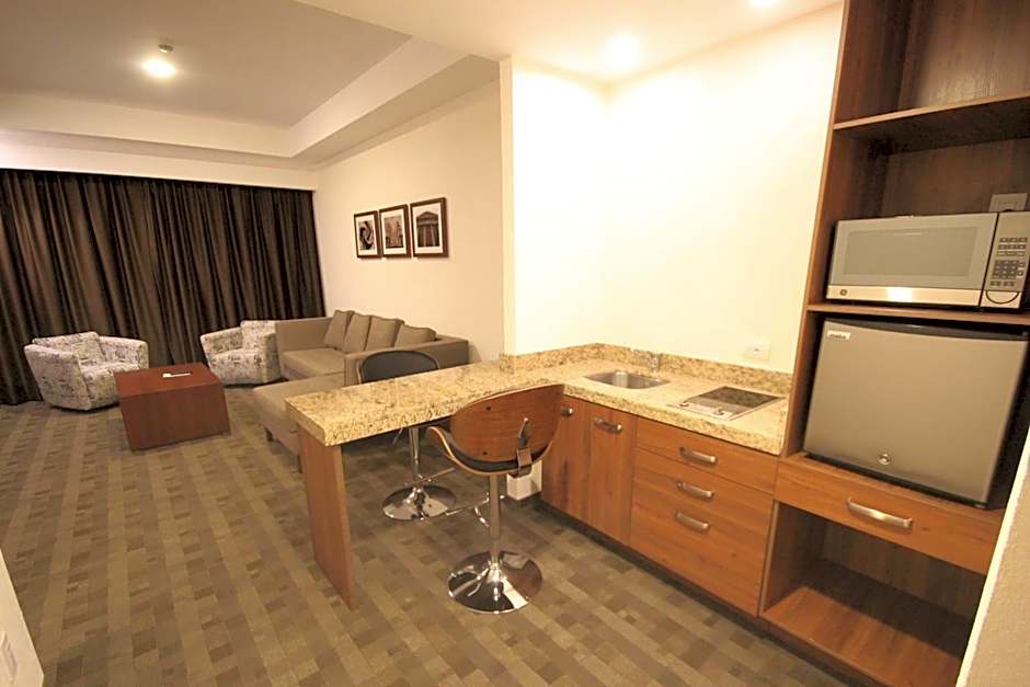 Holiday Inn Leon Plaza Mayor By IHG