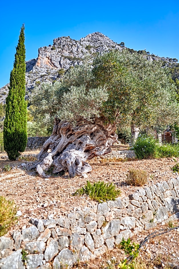 Agroturismo Alquería Blanca