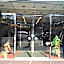 Saga Grace Hotel