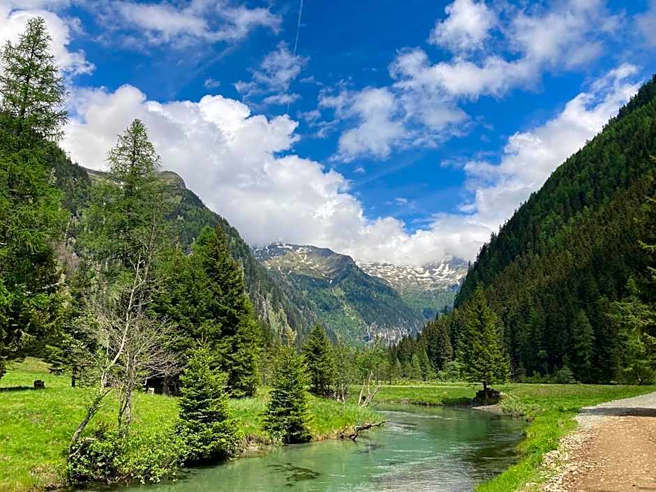 Apartments Hohenberger Mallnitz - Tauernbad und Sauna im Winter inklusive!