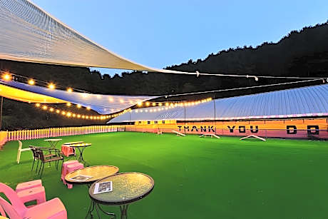 Thank you dog pet pension