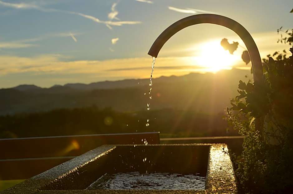 Hotel Post - regionales großes Frühstücksbuffet - auch GF & LF