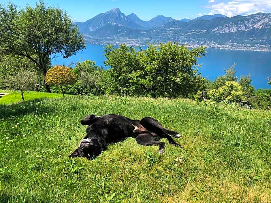 FAVAI HILLS your secret hideaway