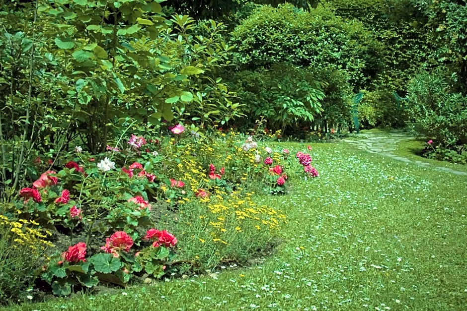 Abaca Messidor by Happyculture