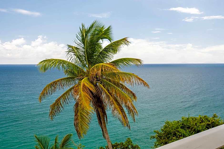 Villa Summer Forever