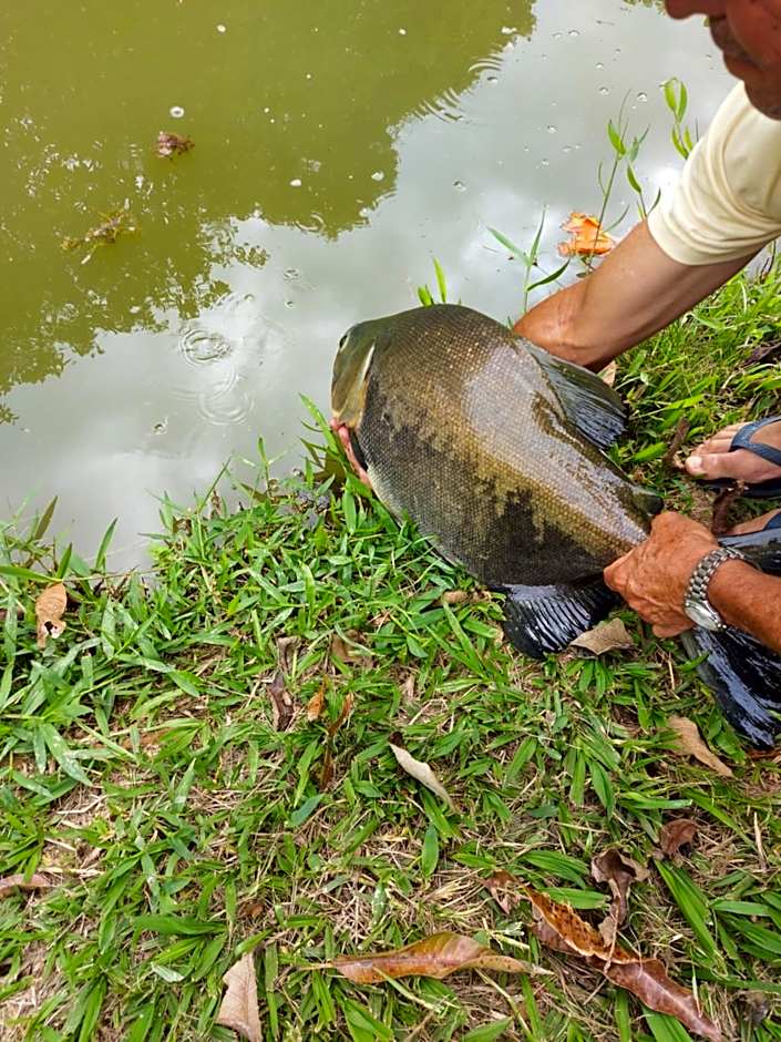 Pousada e Pesque e Pague Vista Alegre