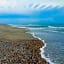 Cape Hatteras Motel